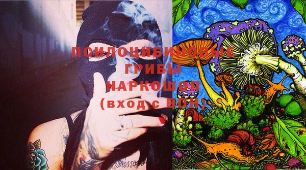 стаф Дмитровск